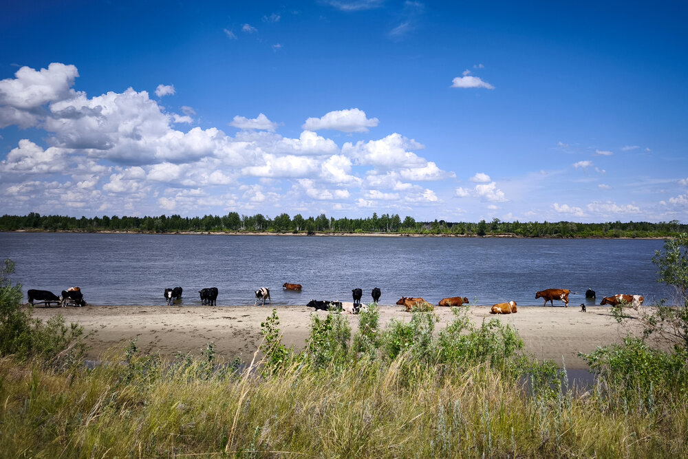 Photograph by Наталья Веселкина