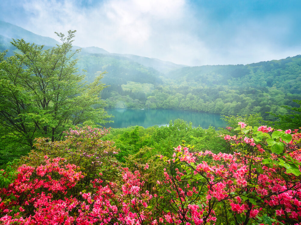 When the Mountains Dream