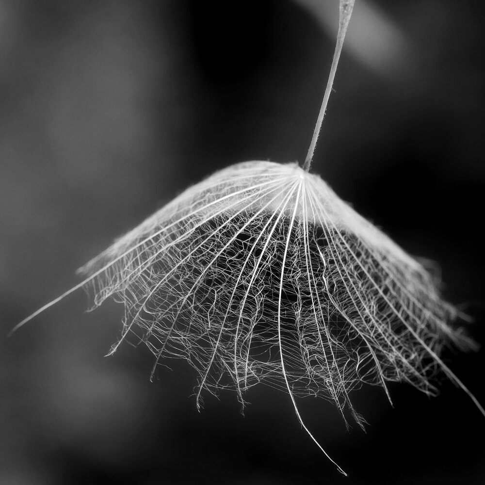Photograph by Владимир Лобанов