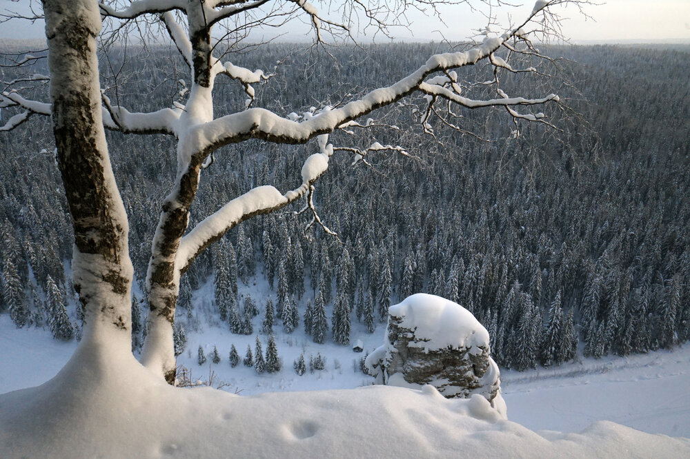 Фотография автора Лена Максимкина