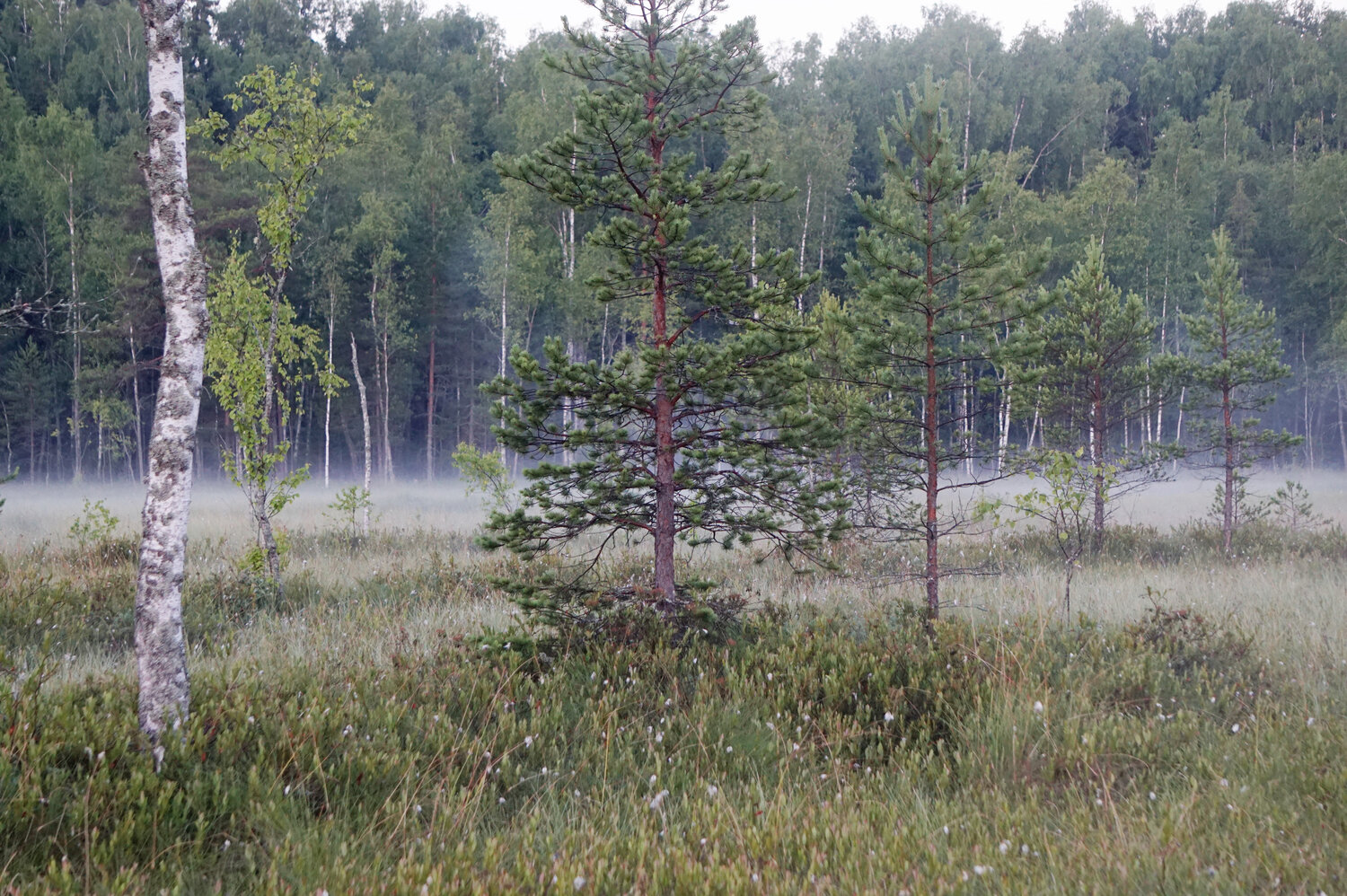 Photo #13874966