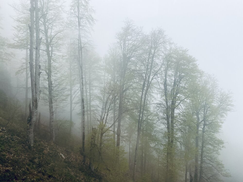 Photograph by Сергей Смирнов