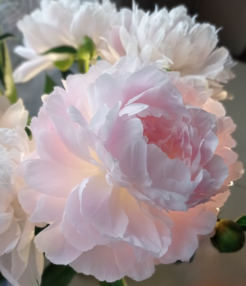 Photograph by Ирина Орлова