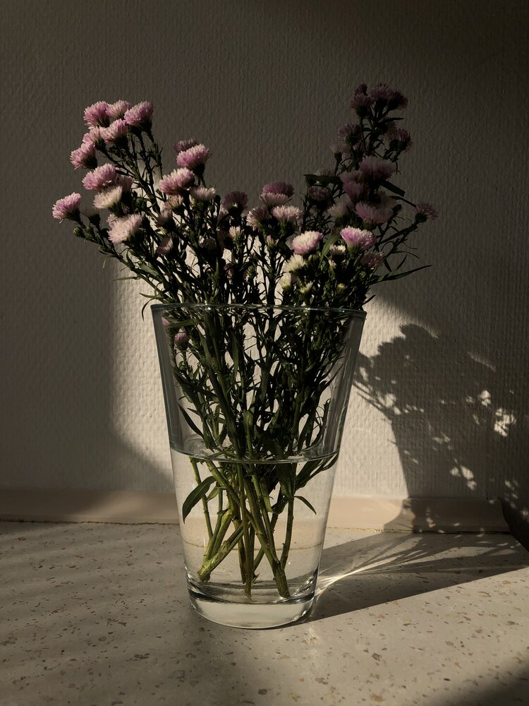 Photograph by Valentina Jegorova