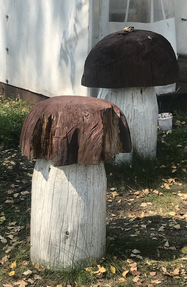 Ну чем ни грибы?!….