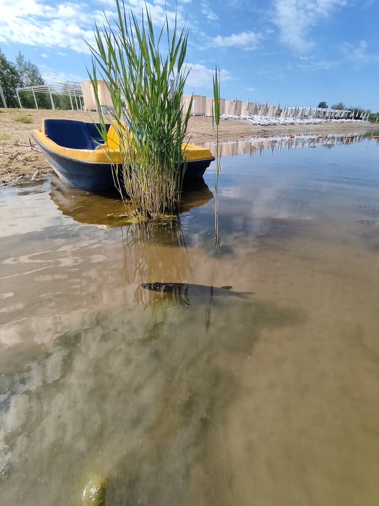 Photograph by Елена Иванкина