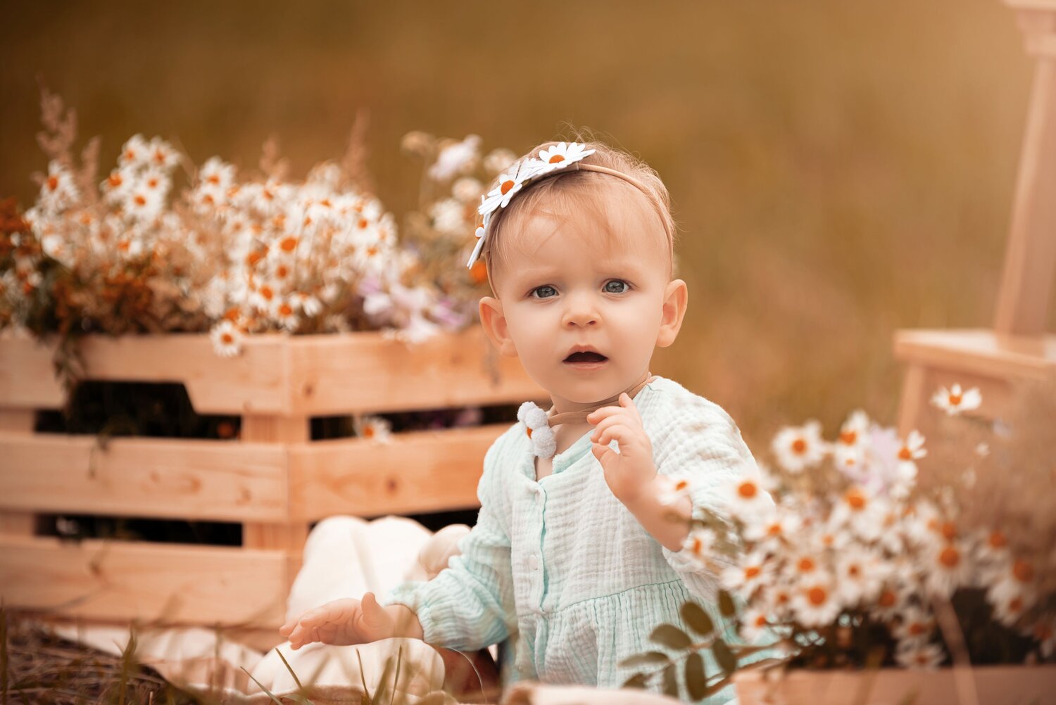 Photo #13875350