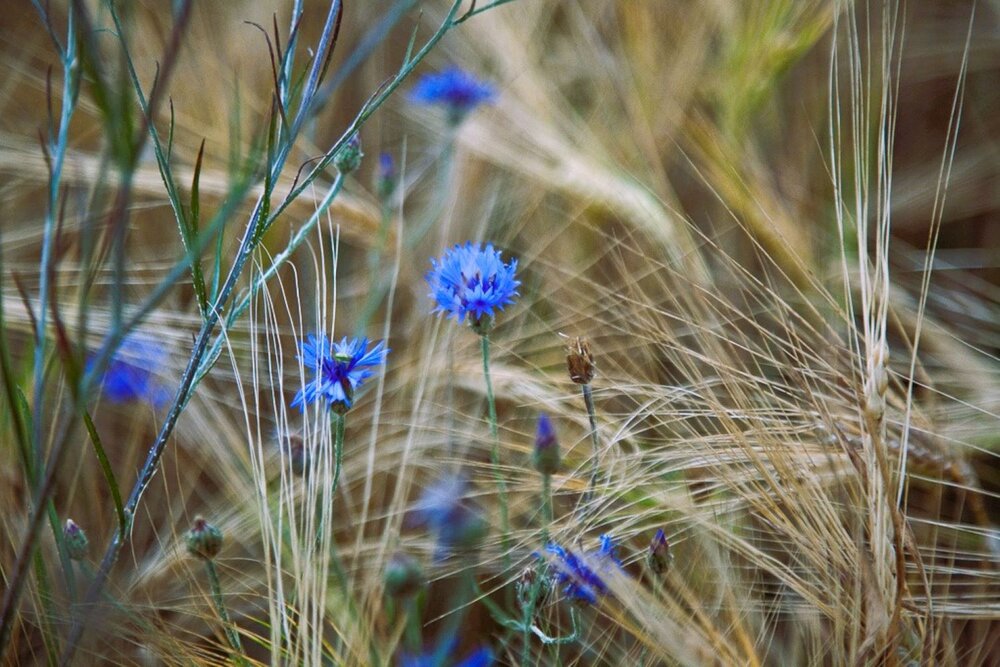 Photograph by Светлана Парамонова