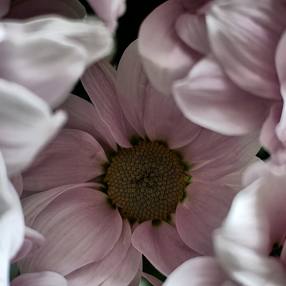 Photograph by Екатерина
