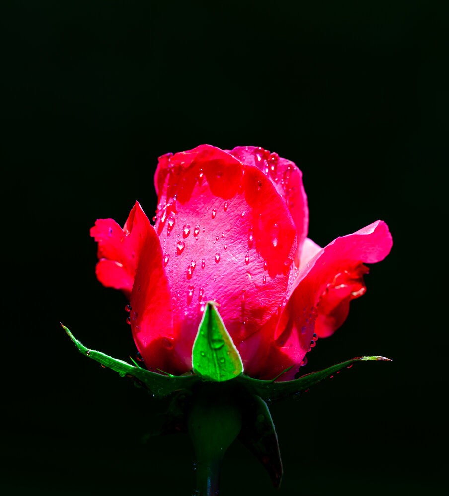 Photograph by Сергей Самойлов