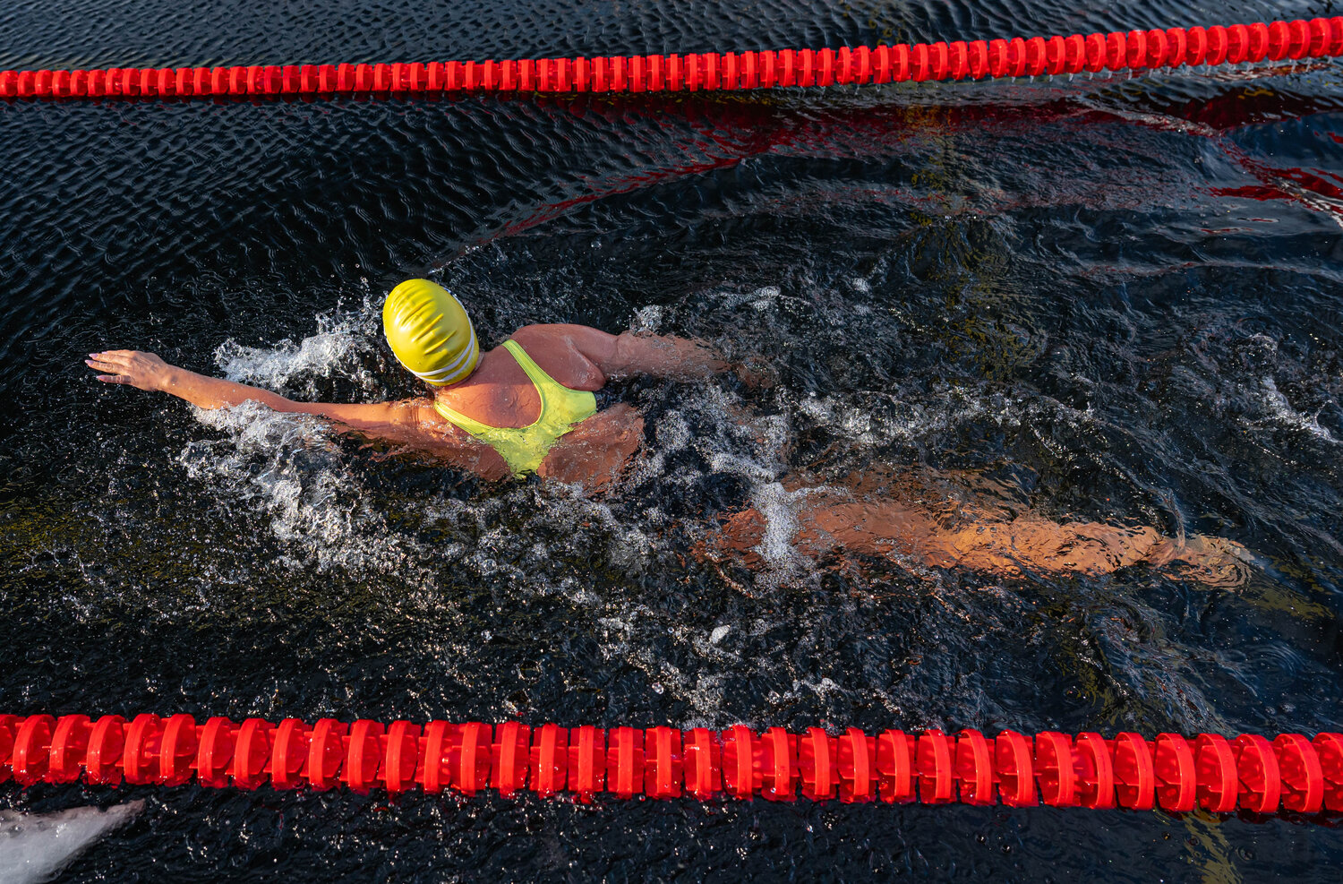 Photo #13875476