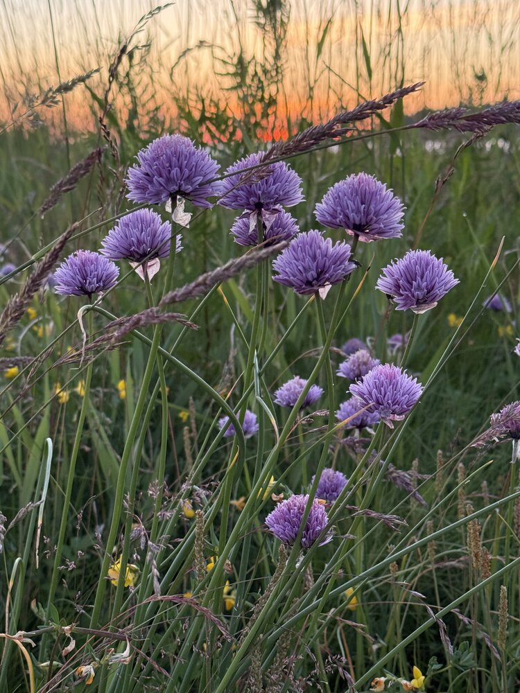 Photograph by Бондаренко Светлана
