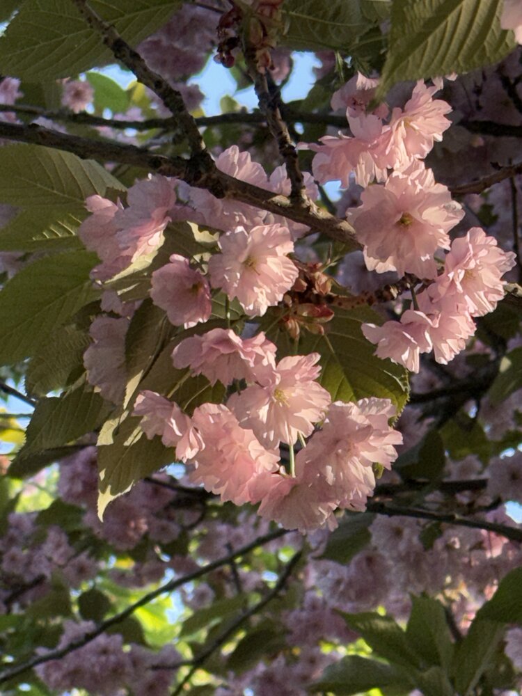 Photograph by Бондаренко Светлана
