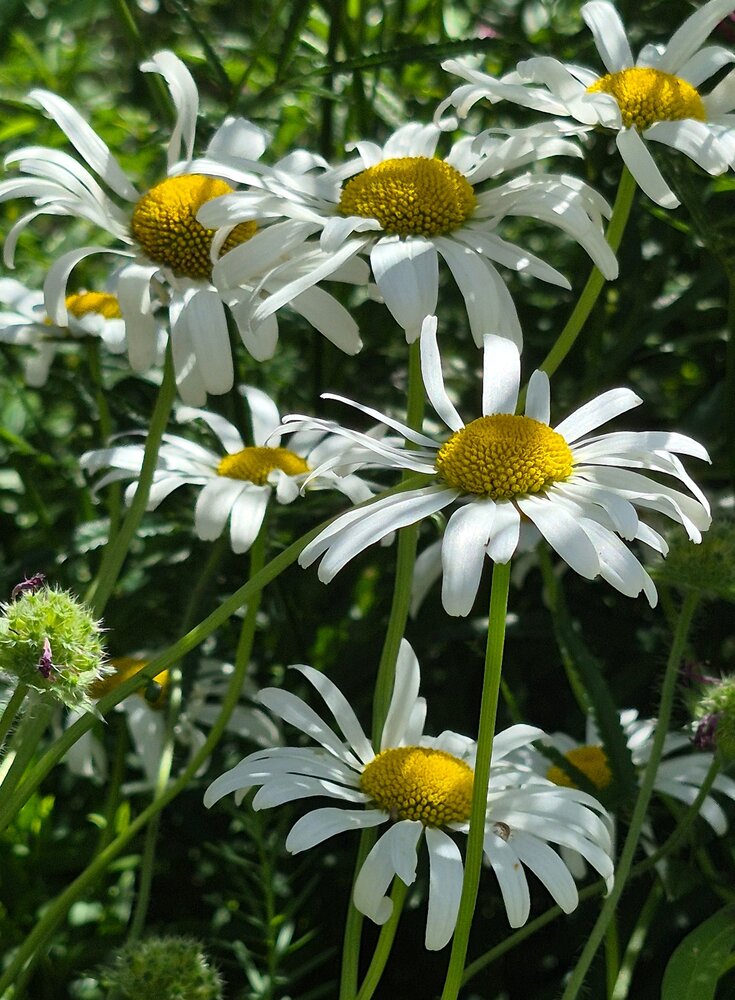 Photograph by Елена