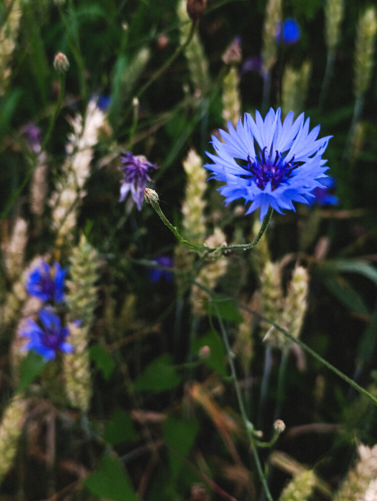 Photograph by Yulia Chupina