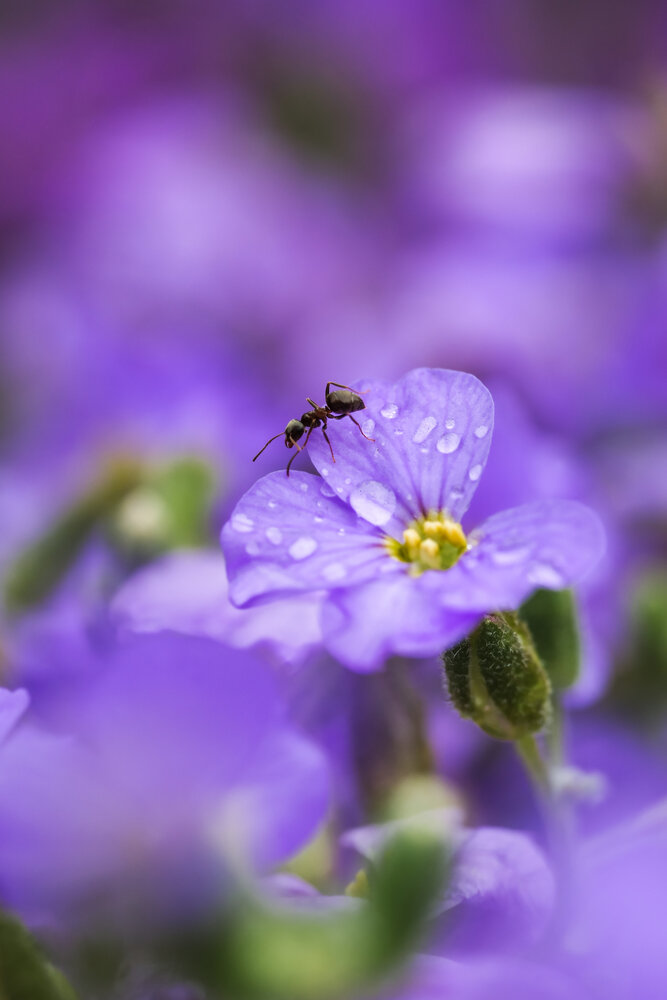 Photograph by Сергей Кравченко