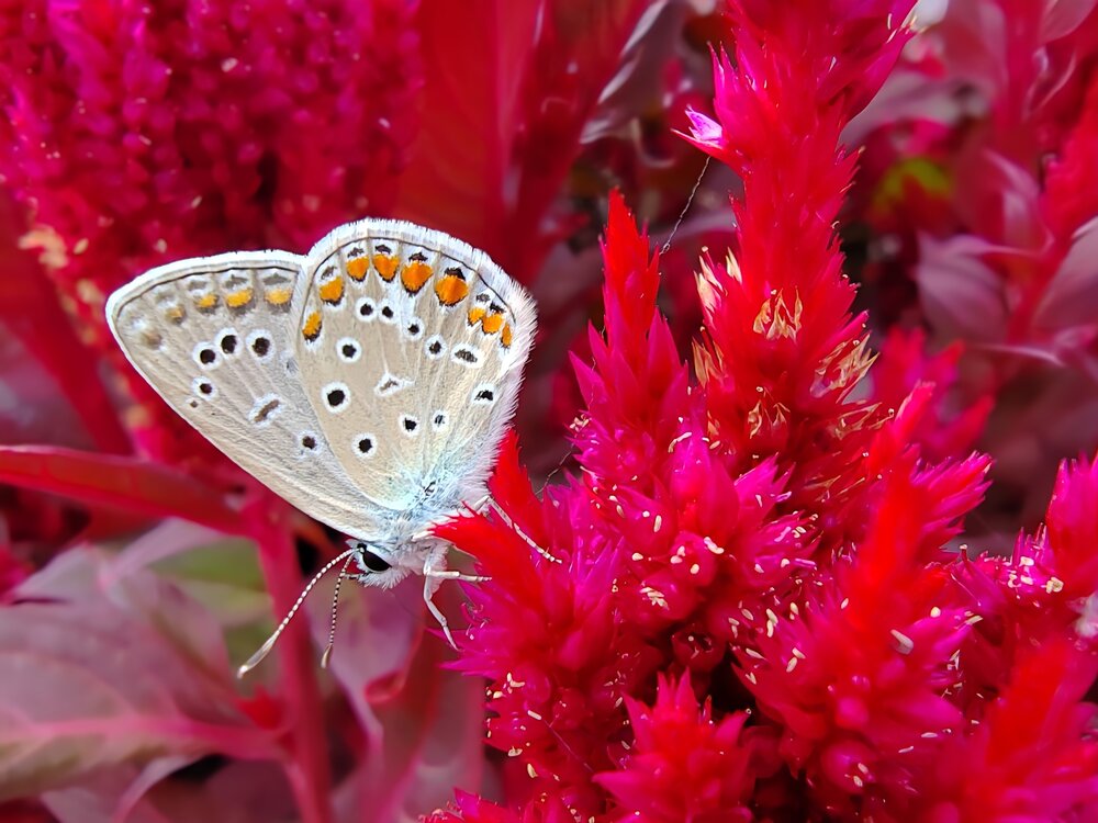 Photograph by Ольга Рыбина