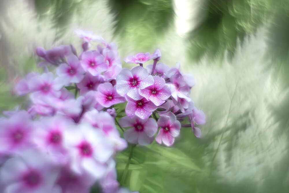 Photograph by Rut Andrey