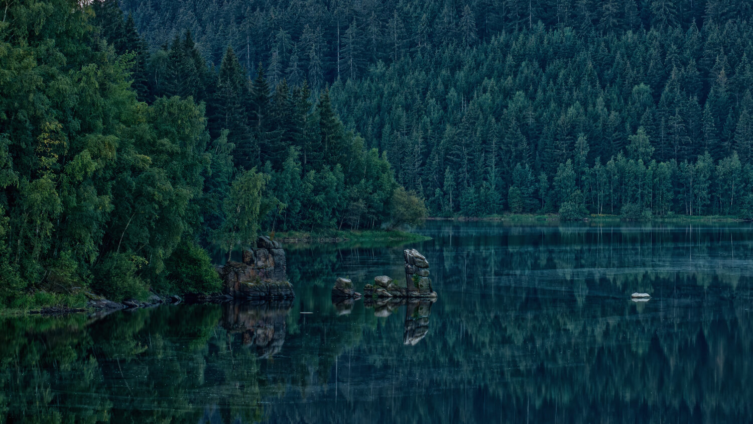 Photo #13875747
