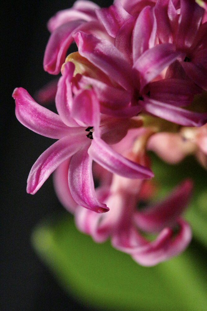 Photograph by Юлия Новоселова