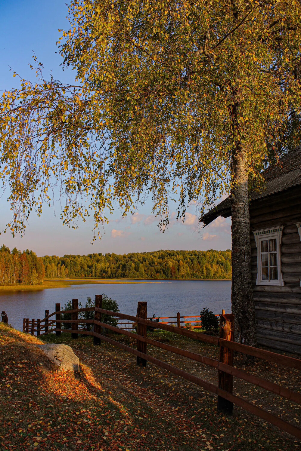 Photo #13875790