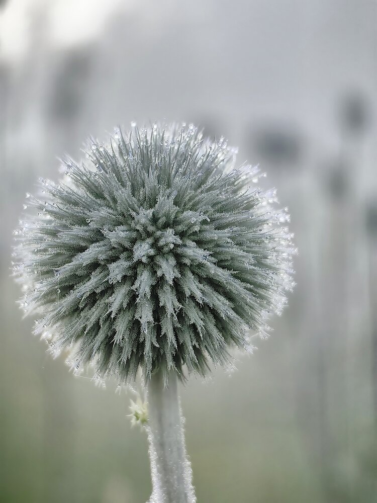 Photograph by Юлия Горелова