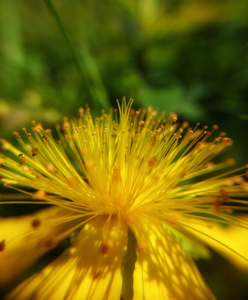 Photograph by Екатерина Баклыкова