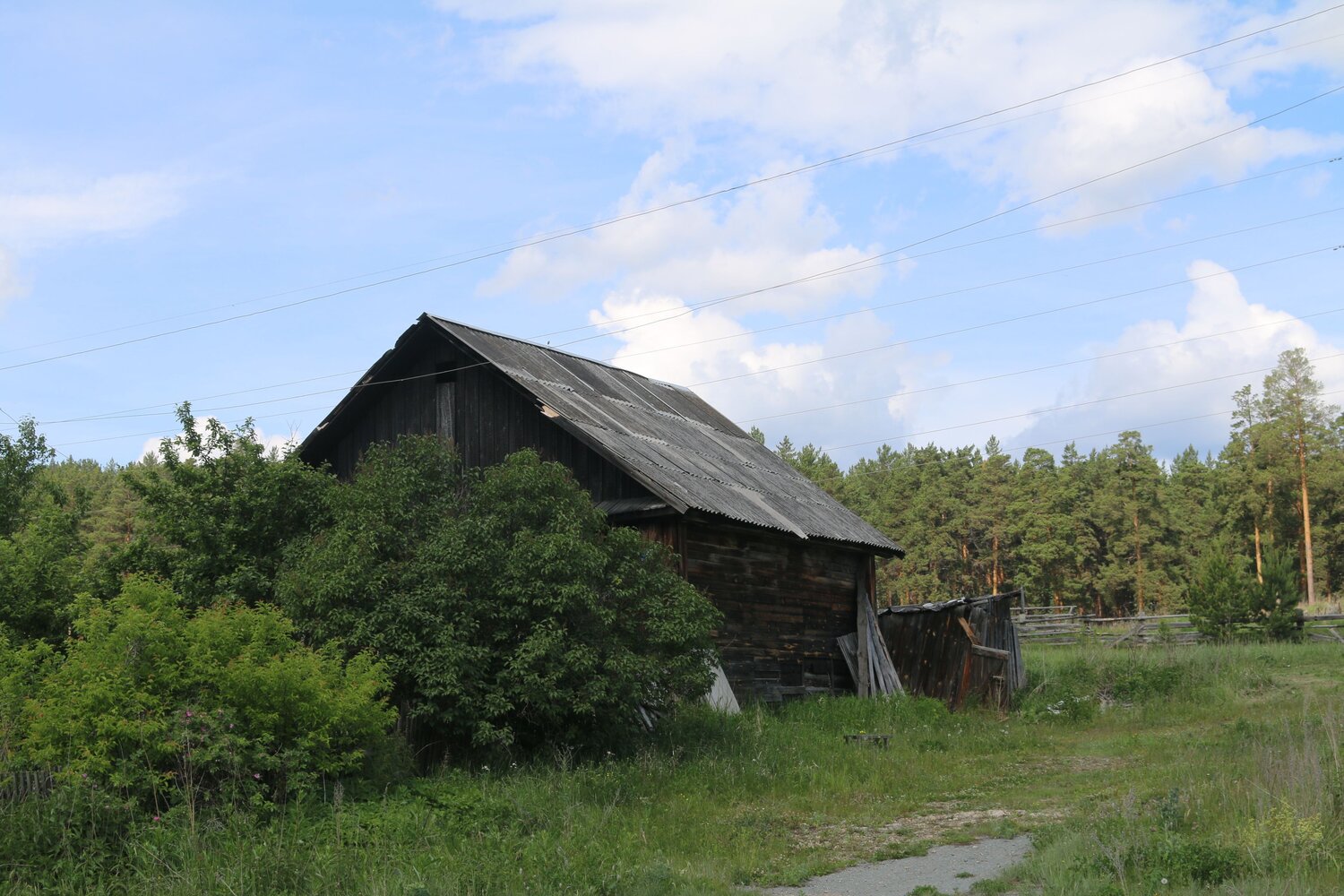 Photo #13875923
