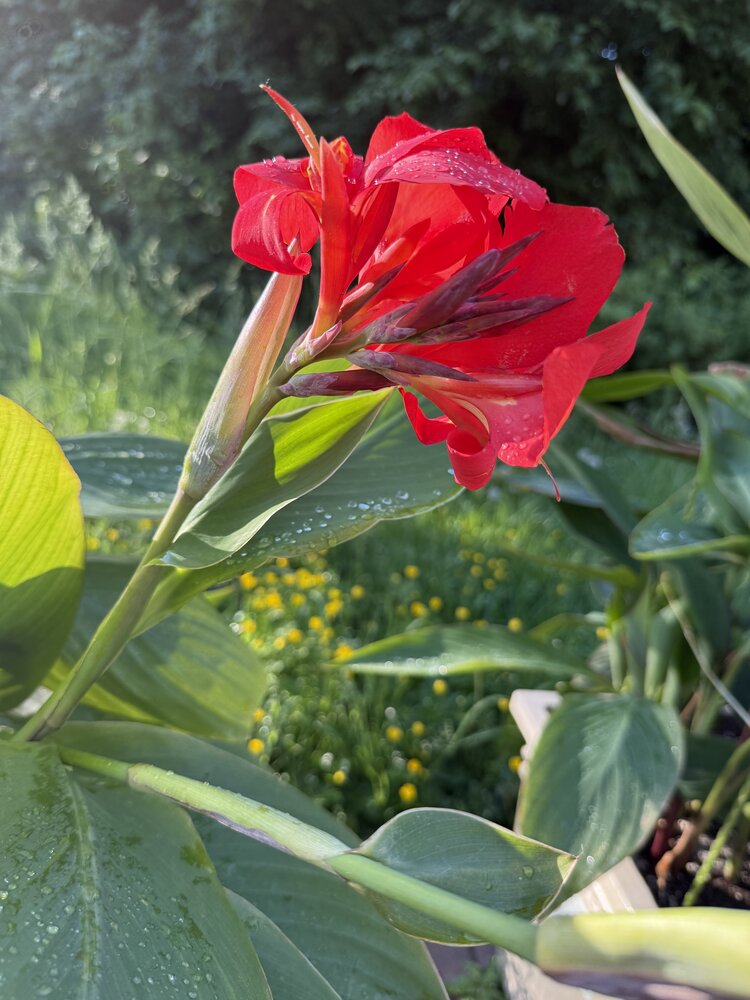 Photograph by Фролова Альфия