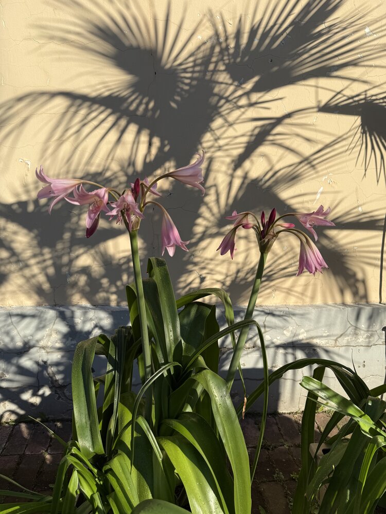 Photograph by Фролова Альфия