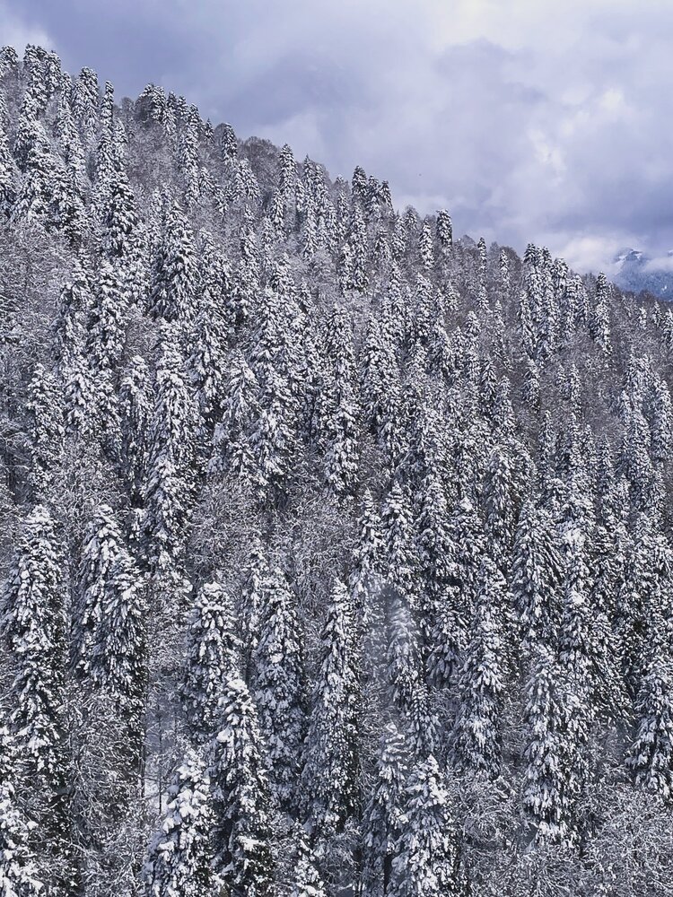 Photograph by Sergei Komlev