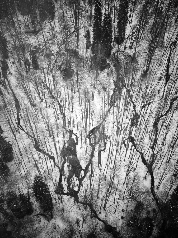 Photograph by Sergei Komlev