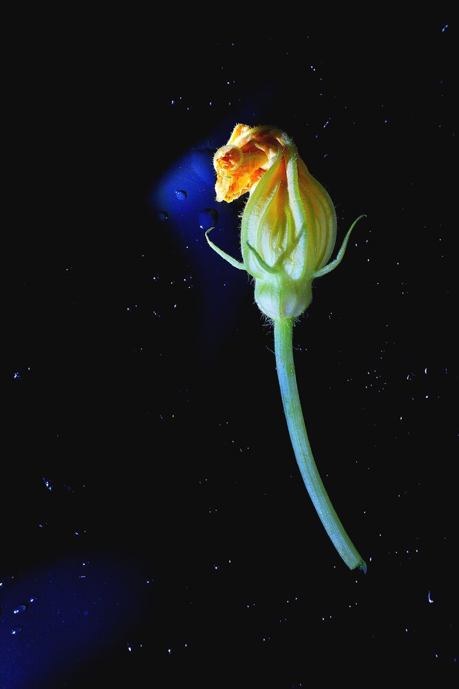 Photograph by Светлана Алехина