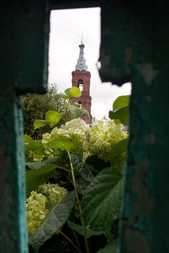 Photograph by Наталия Самкина