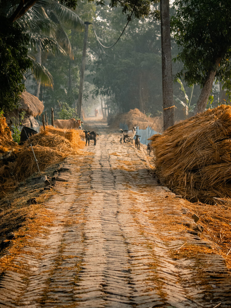 Photograph by gaurav roy