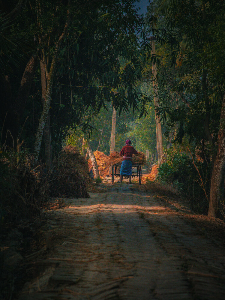 Photograph by gaurav roy