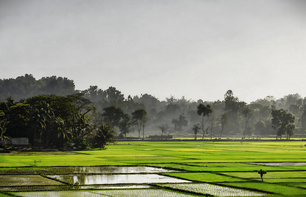 Photograph by Ashata Jannat Jannat