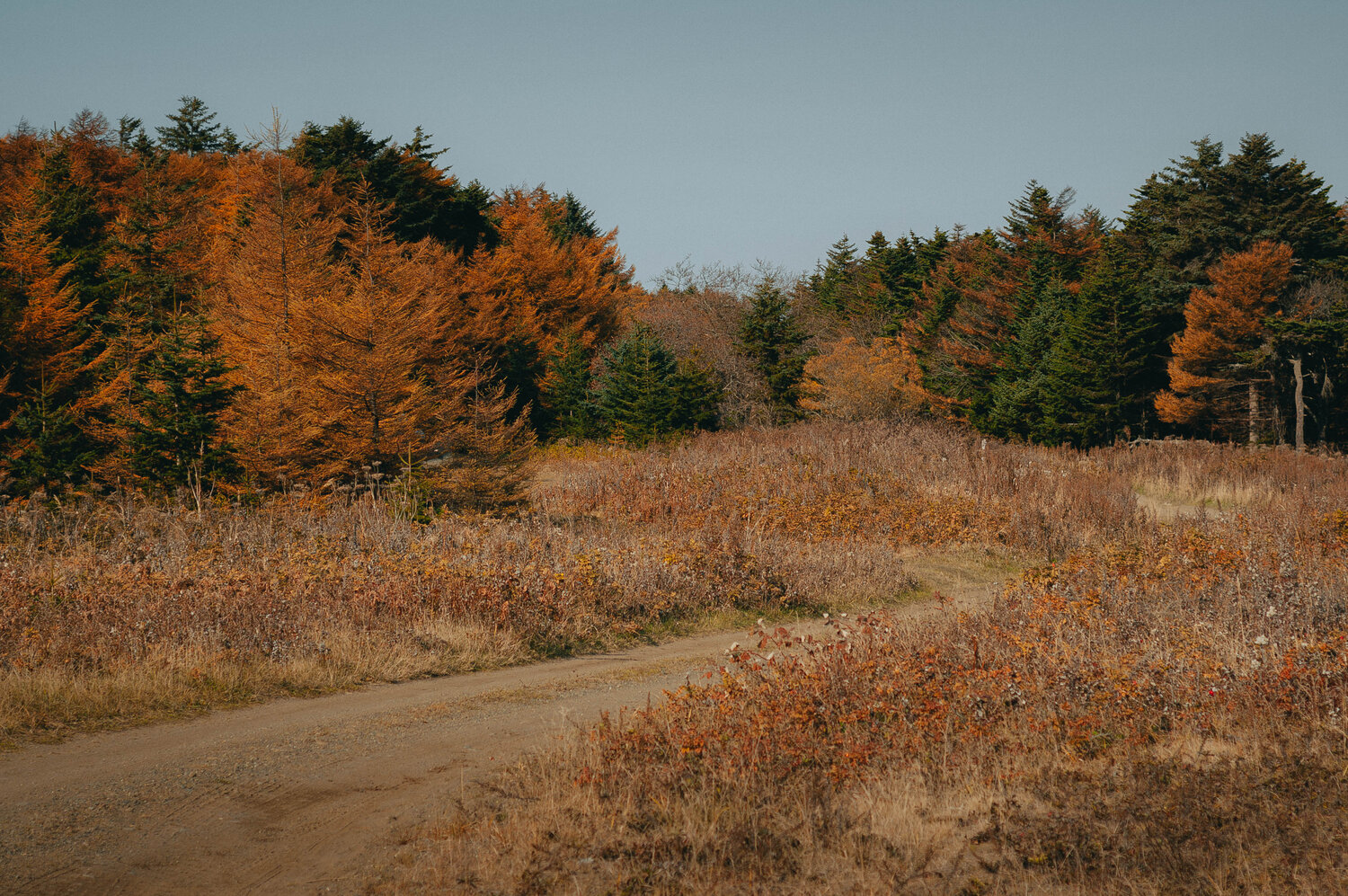 Photo #13876003