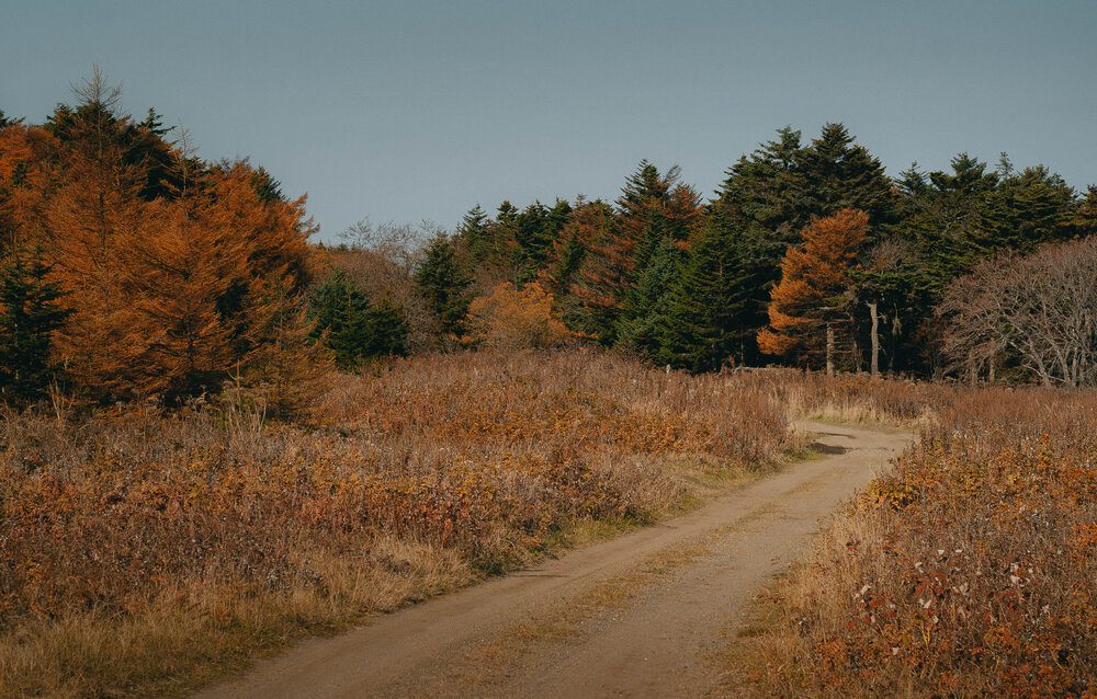 Photo #13876004