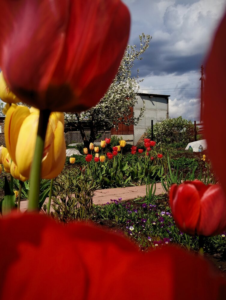 Photograph by Елена Чернякова
