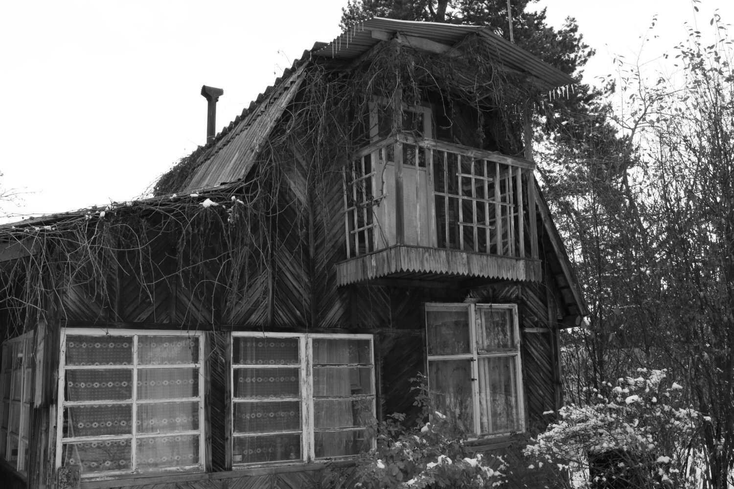 Photo #13876025