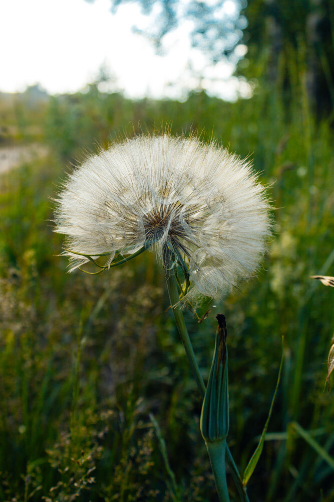 Photograph by Зульфия Вакилова