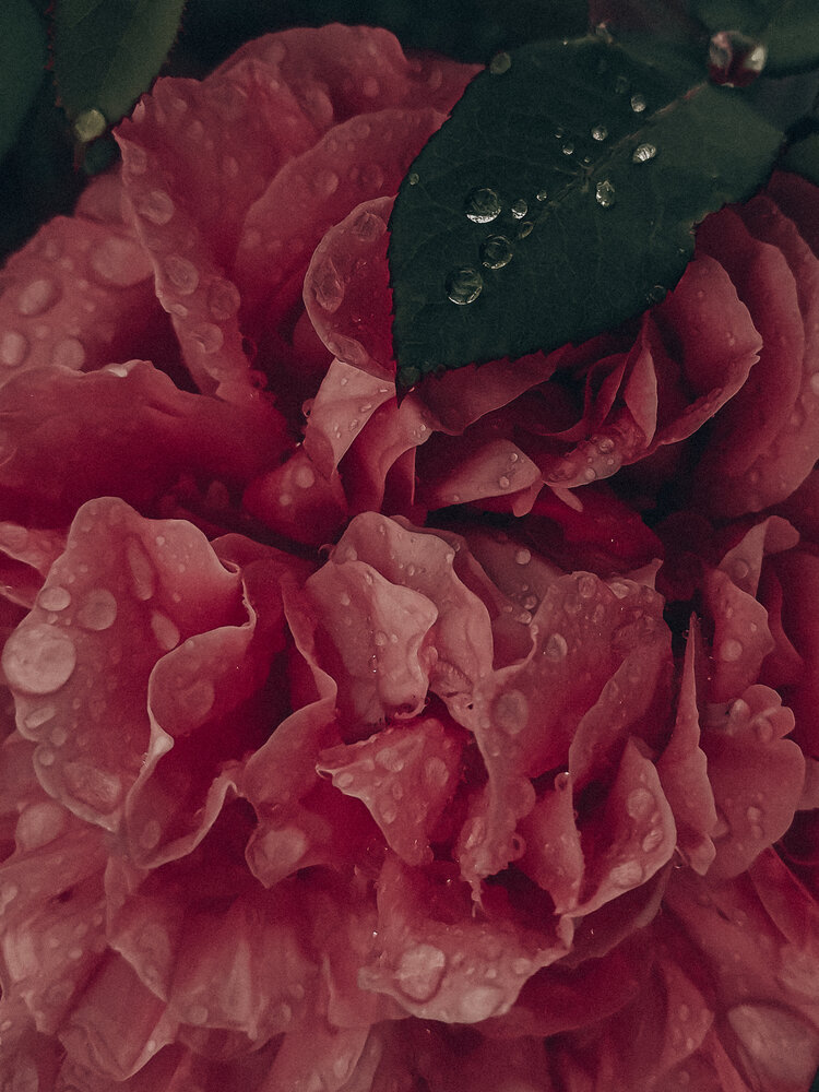 Photograph by Зульфия Вакилова