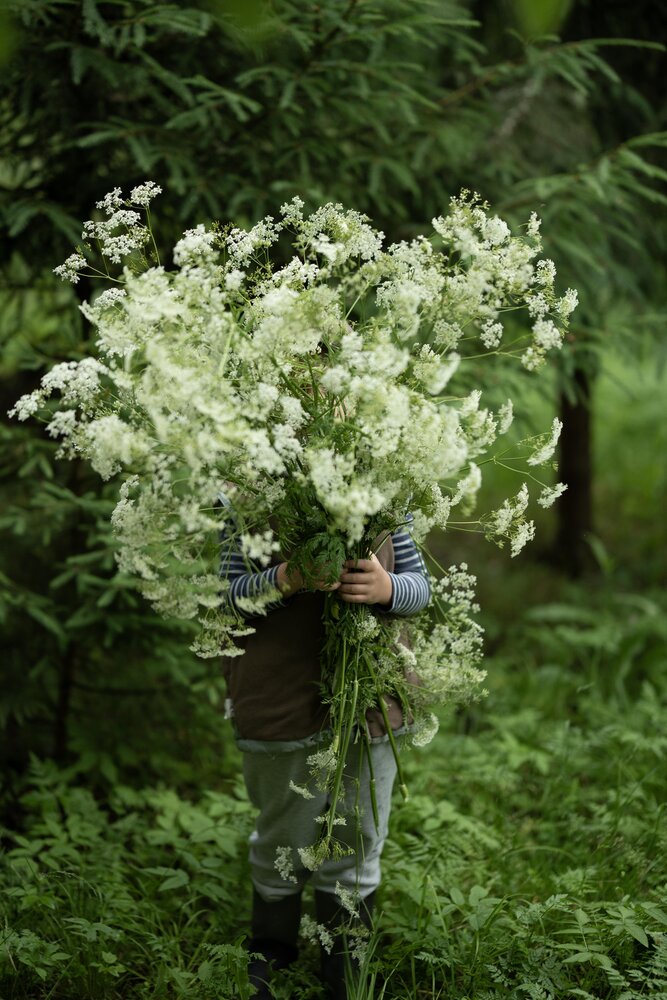 Photograph by Виктория Лаур