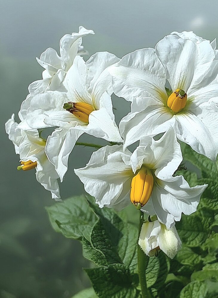 Photograph by Светлана Кустова