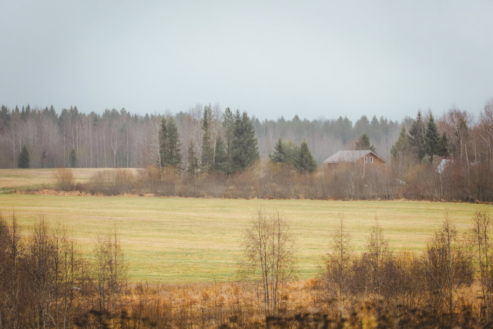 Photograph by Игорь Лузин