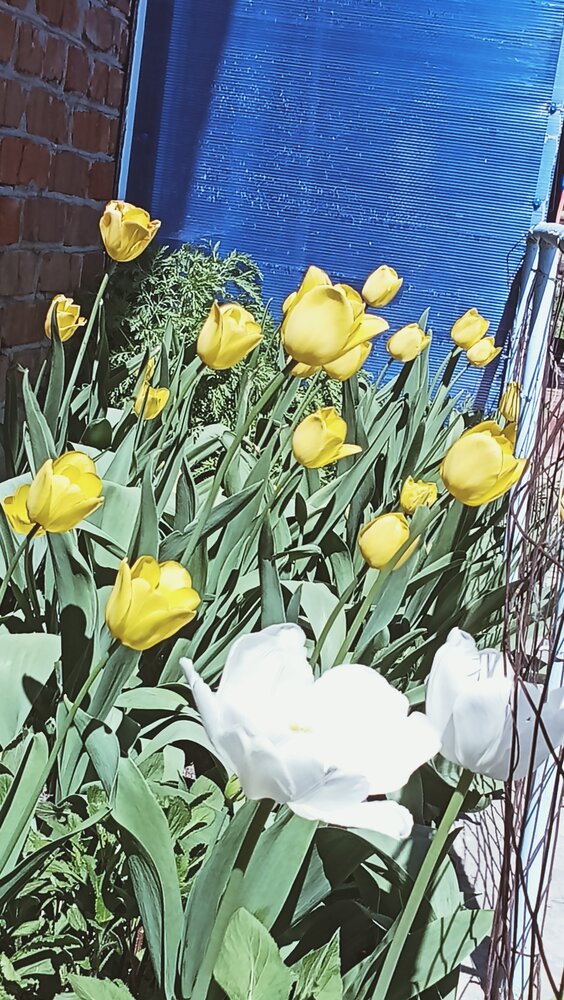 Photograph by Надежда Рулькова