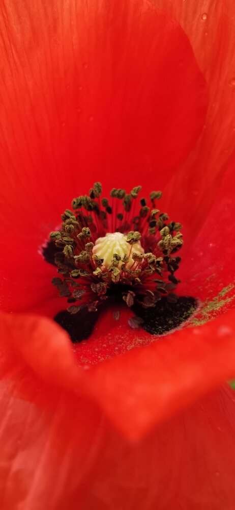 Photograph by Ксения Супрун