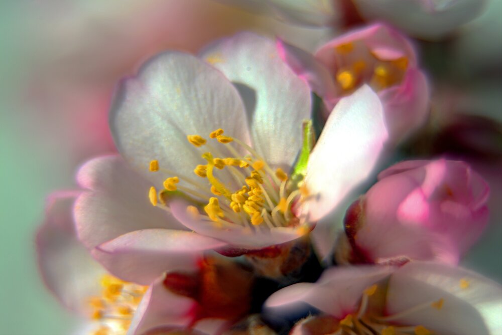 Photograph by Загуменнов Максим