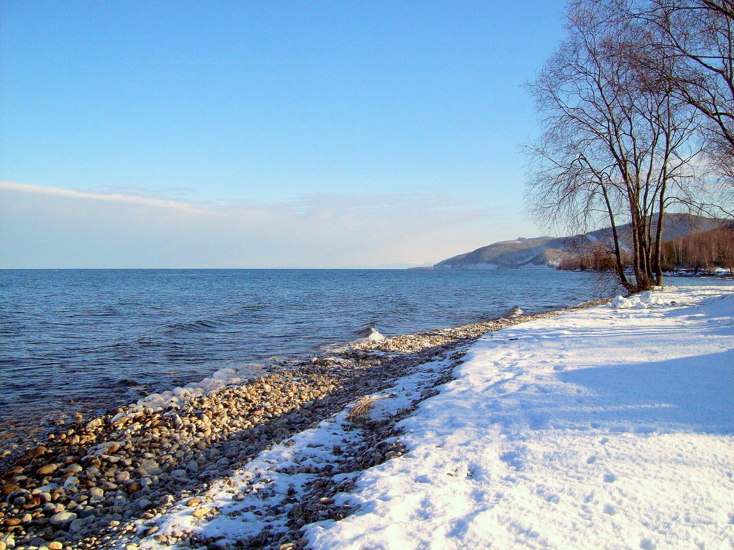Photo #13876337